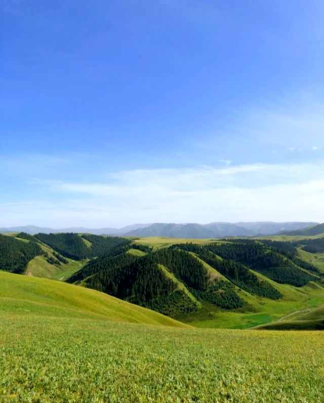张掖康乐草原攻略,张掖康乐草原门票/游玩攻略/地址/图片/门票价格