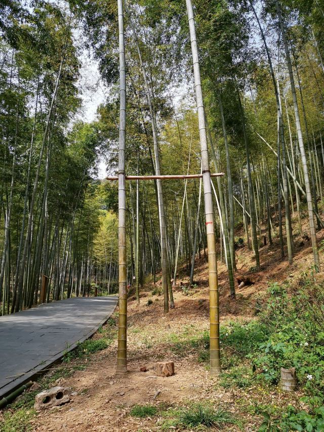 龙坞镇西山森林公园