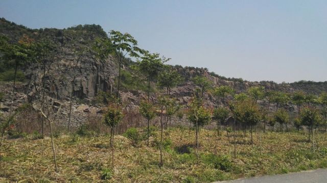 黄湾尖山村