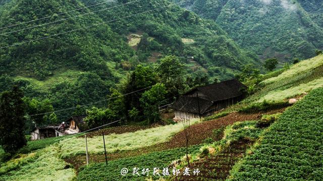 太和乡河垭山村生育文化茶园