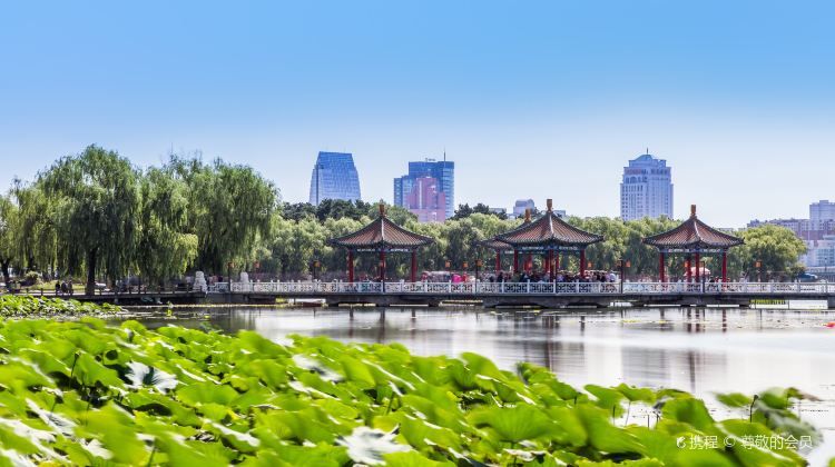 北京南湖公园游玩攻略图,北京南湖公园景点介绍