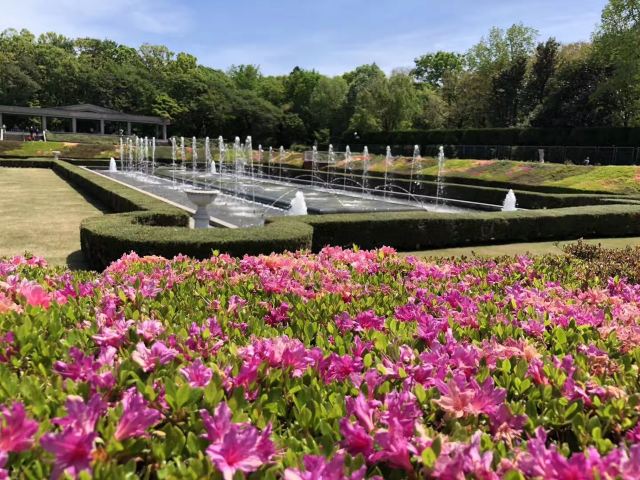 调布市神代植物公园攻略 调布市神代植物公园门票 游玩攻略 地址 图片 门票价格 携程攻略 调布市神代植物公园攻略 调布市神代植物公园门票 游玩攻略 地址 图片 门票价格 携程攻略