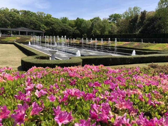 调布市神代植物公园攻略 调布市神代植物公园门票 游玩攻略 地址 图片 门票价格 携程攻略