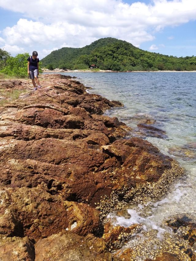 马屎洲特别地区