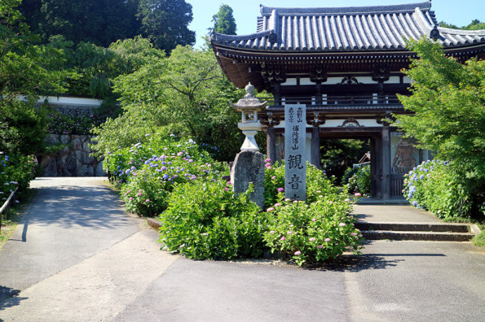 美之壶 京都紫阳花 丹州观音寺 京都游记攻略 携程攻略