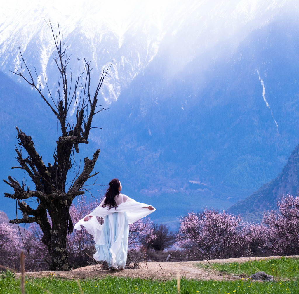                 雪山,桃花,美女