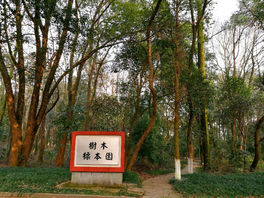 江西农业大学树木标本园