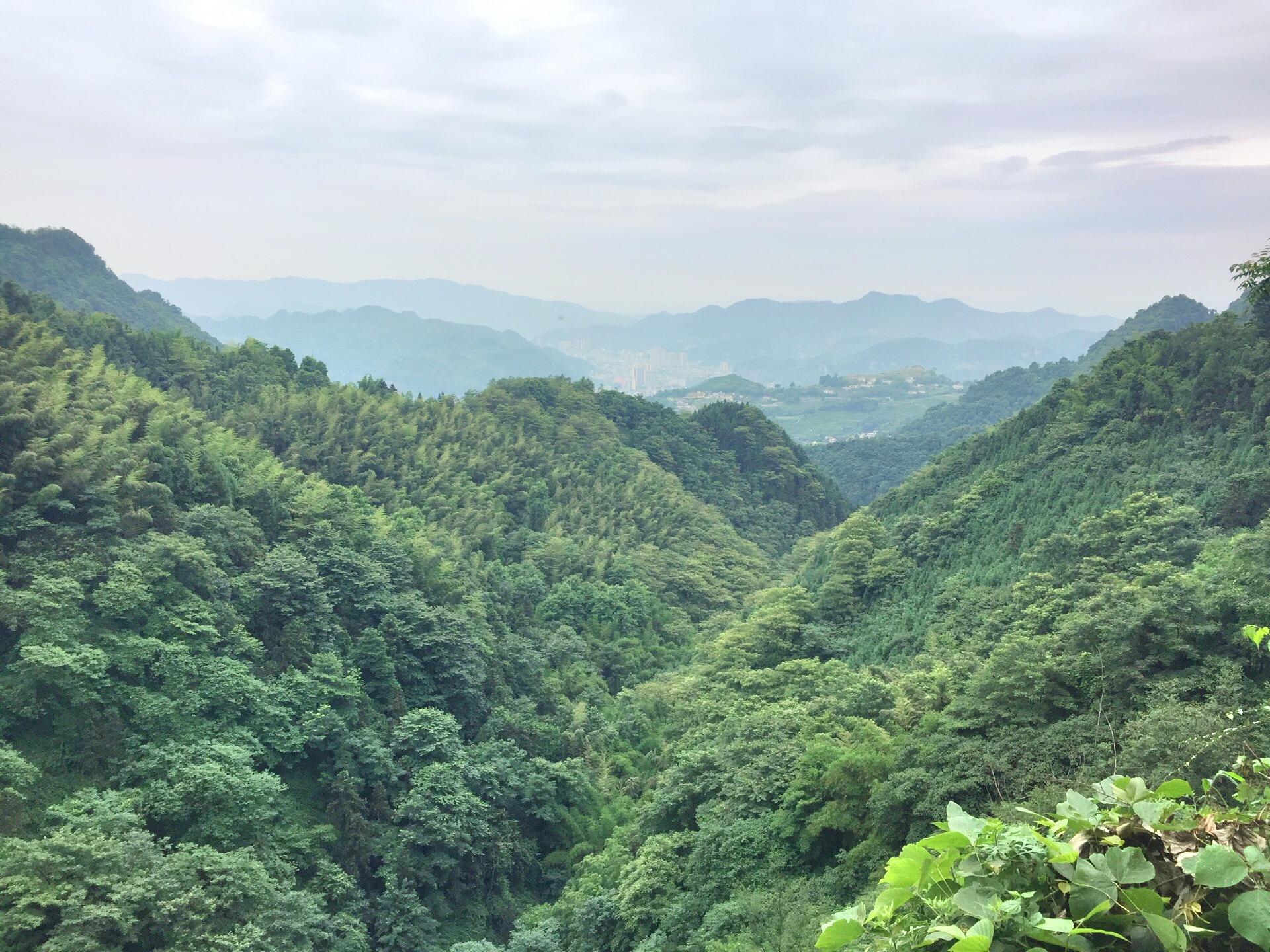 芙蓉山