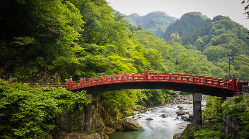 日本日光市+日光东照宫+神桥+华严瀑布+中禅寺湖一日游【景点可选 上门接送 中文司机】线路推荐【携程玩乐】