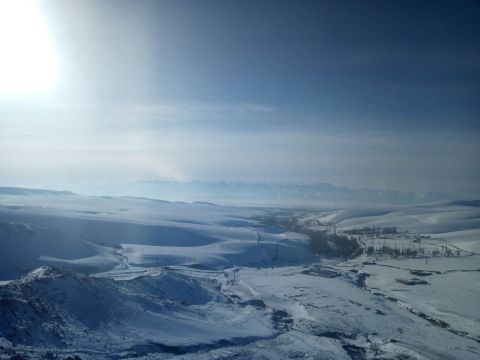 湿地古杨风景区