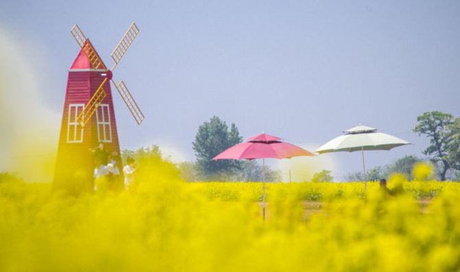 端午节东戴河海边穿什么衣服,能下水吗?