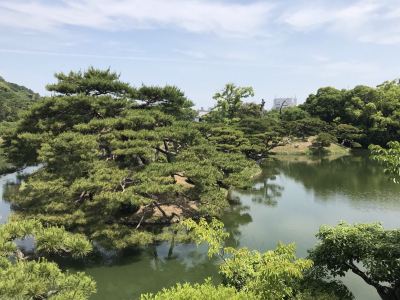 名胜大乘院庭院文化馆