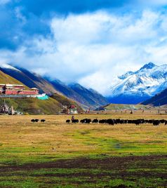 道孚游记图文-以梦为马，不负韶华，自驾川藏北线，走进西藏康巴，在国道317遇见最美秋色