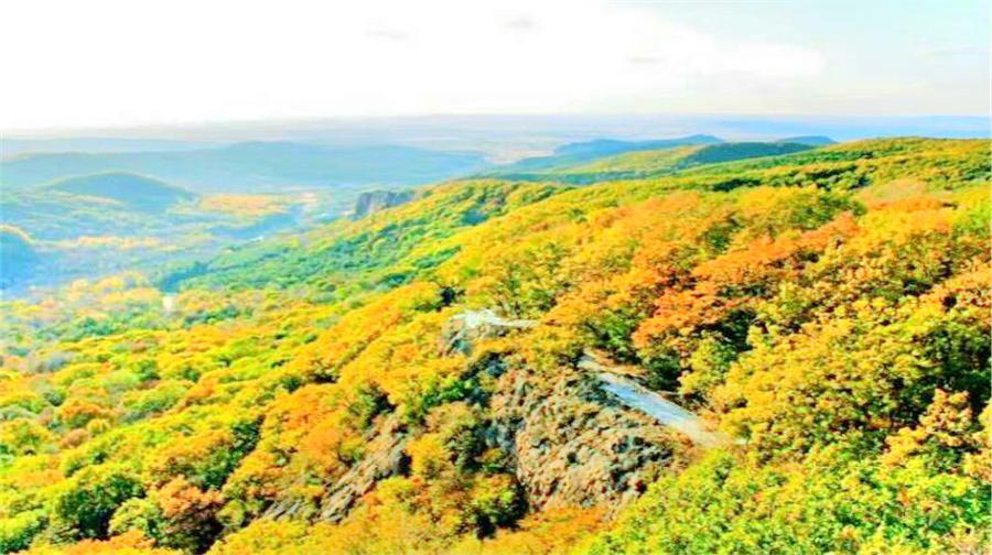 壹台山骆驼峰景区