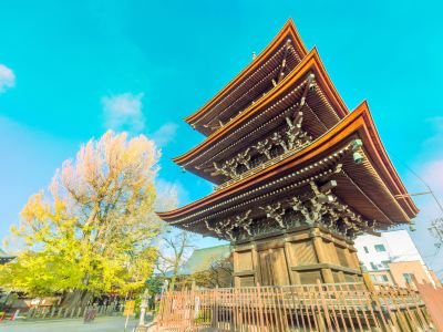 奥飞驒温泉乡飞驒国分寺攻略 奥飞驒温泉乡飞驒国分寺门票 游玩攻略 地址 图片 门票价格 携程攻略