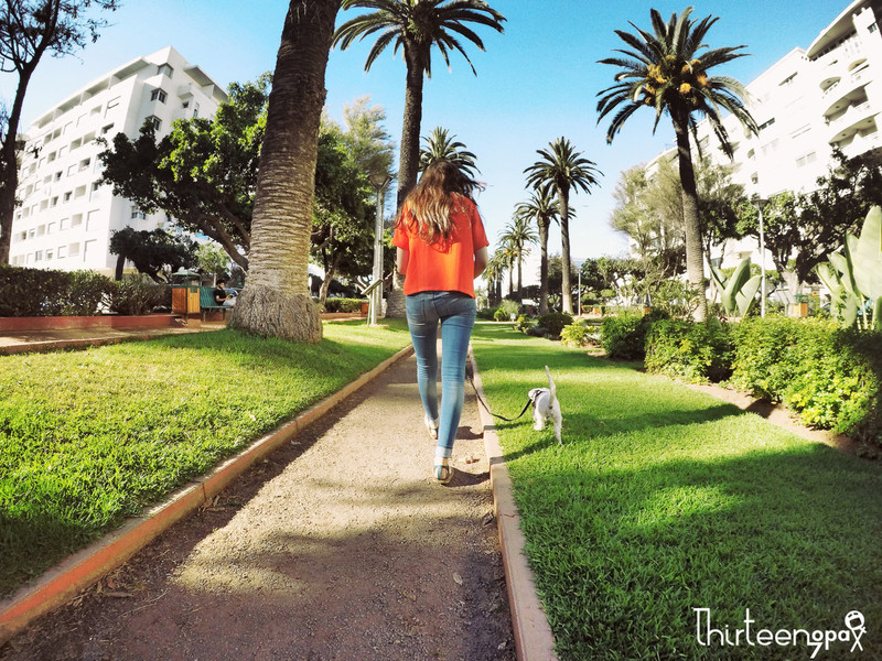 二十天北非自驾 把病留在了摩洛哥 - 摩洛哥游