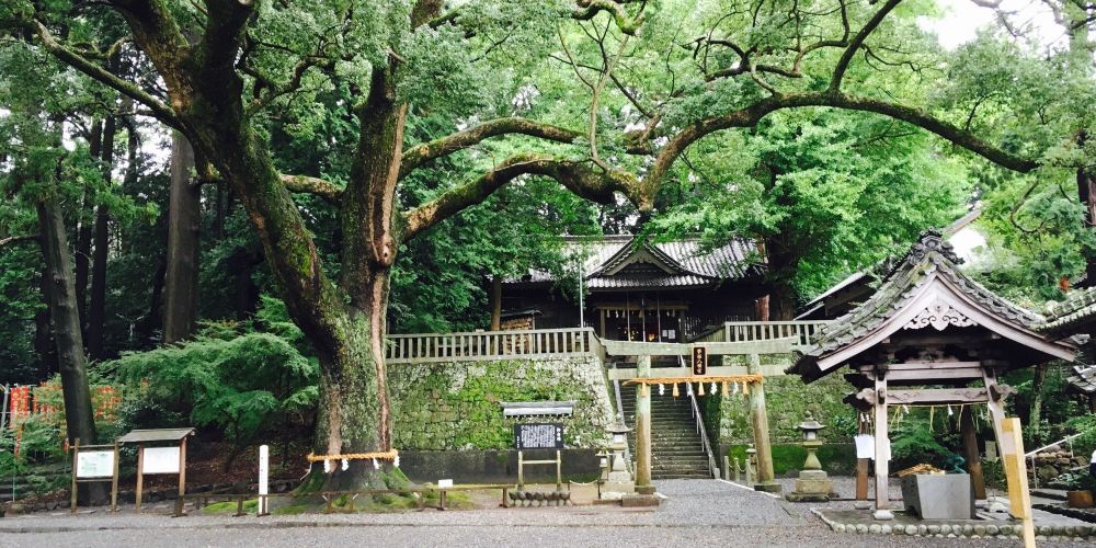 掛川市事任八幡宮 掛川市事任八幡宮旅遊攻略簡介當地玩樂門票酒店一覽 永安旅遊