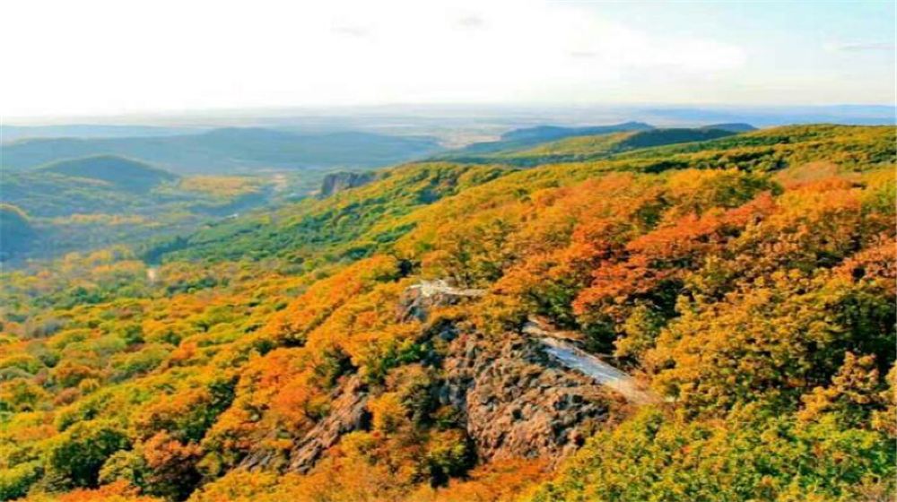 壹台山骆驼峰景区一日游休闲登山呼吸新鲜空气哈尔滨起止