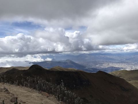 基多卡罗莱纳公园攻略,基多卡罗莱纳公园门票/游玩攻