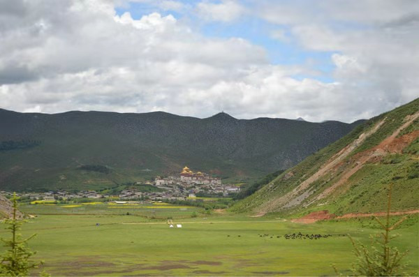 什么叫做真正的自然 100m1a0000019rmrrC608_R_800_10000_Q90.jpg?proc=autoorient