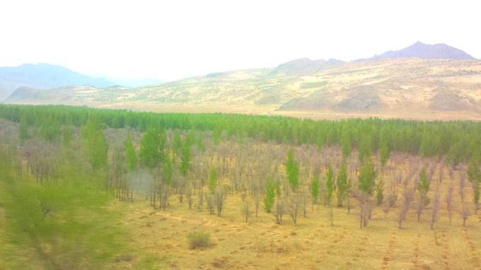 科尔沁沙地生态示范区