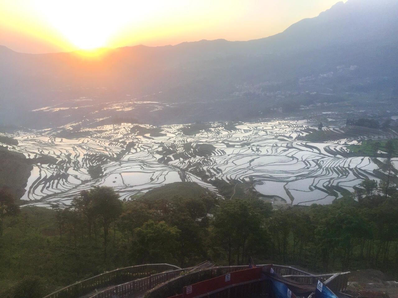 元江梯田