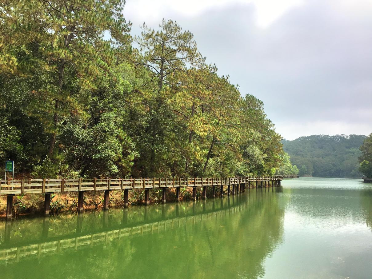梅子湖栈道