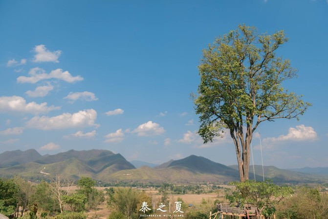 【我坐在这里看时间流过】泰国慢游之旅 - 清迈