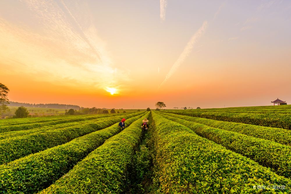 江西省鳳凰溝原名江西省鳳凰溝風景區,因為地處南昌縣黃馬鄉,又名黃馬