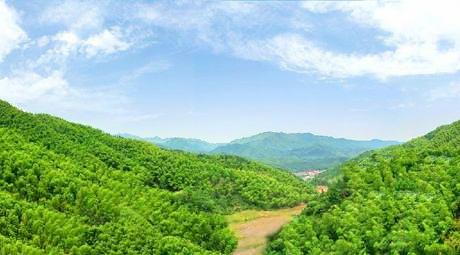 衢州大竹海森林公园