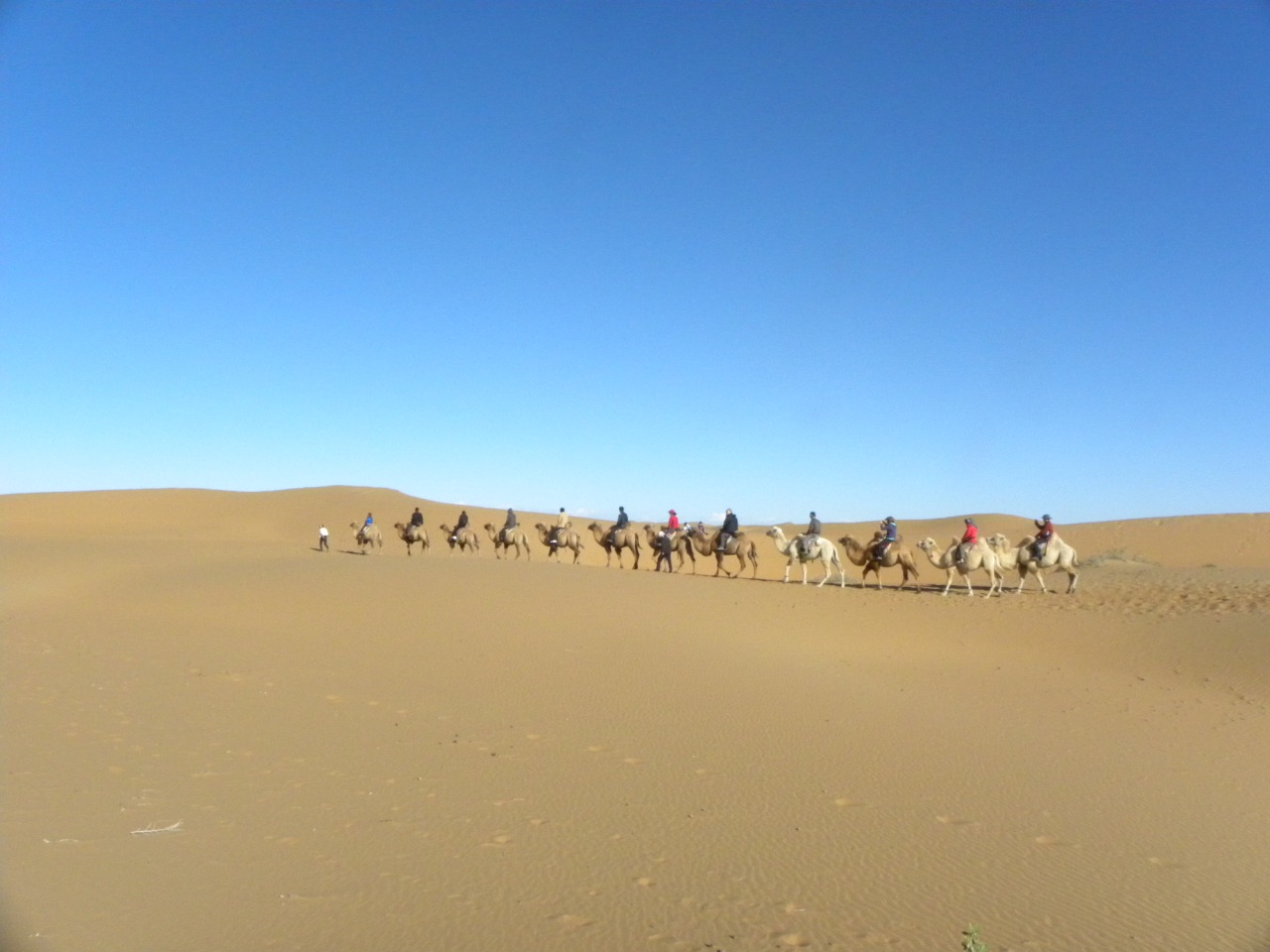 Ningxia Tengri Desert