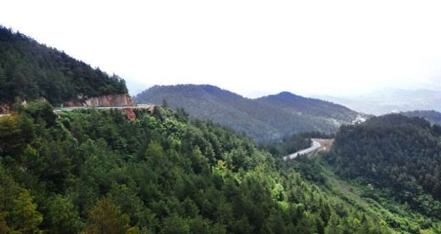 100p0e0000006zi03F678_C_640_10000.jpg