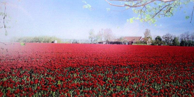 清明时节雨纷纷,落花有情,时光长流 - 贵州游记