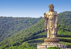 灵山大佛+灵山梵宫+鼋头渚+太湖仙岛一日游【纯玩无购物无套路 游灵山胜境拜大佛游太湖 乘游船登仙岛】