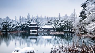 杭州冬季曲院风荷雪景