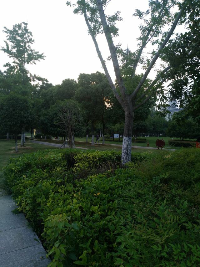 苏州五龙桥公园攻略-五龙桥公园门票价格多少钱-团购票价预定优惠