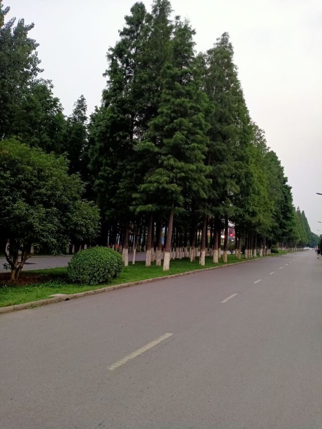 郓城黄泥岗攻略,郓城黄泥岗门票/游玩攻略/地址/图片/门票价格【携程