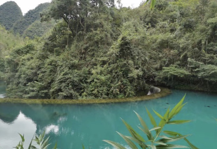 钤山镇湿地公园