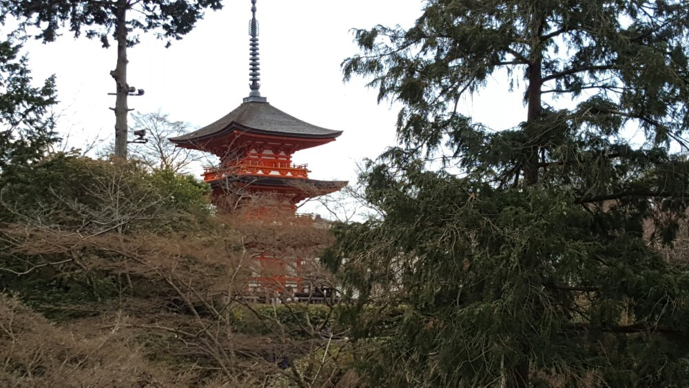 来到日本京都是一定要去的,即使像今天天气阴