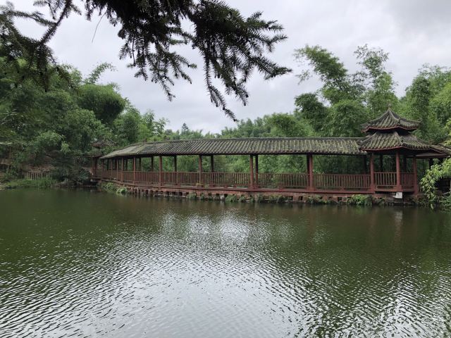 沐川竹海