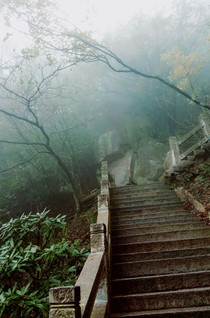 小阿娇漫游迷雾森林 - 九华山游记攻略