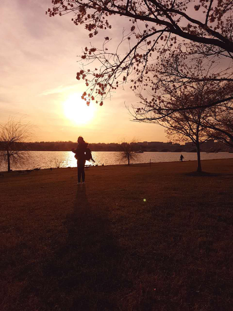 樱,霞与时光正好的我们。华盛顿两日游。 - 美