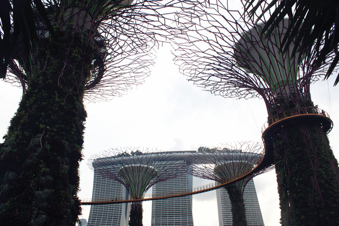 一次说走就走的新加坡与兰卡威之旅 - 新加坡游