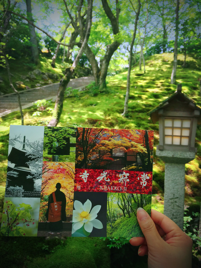 去大阪看一场演唱会 - 大阪游记攻略