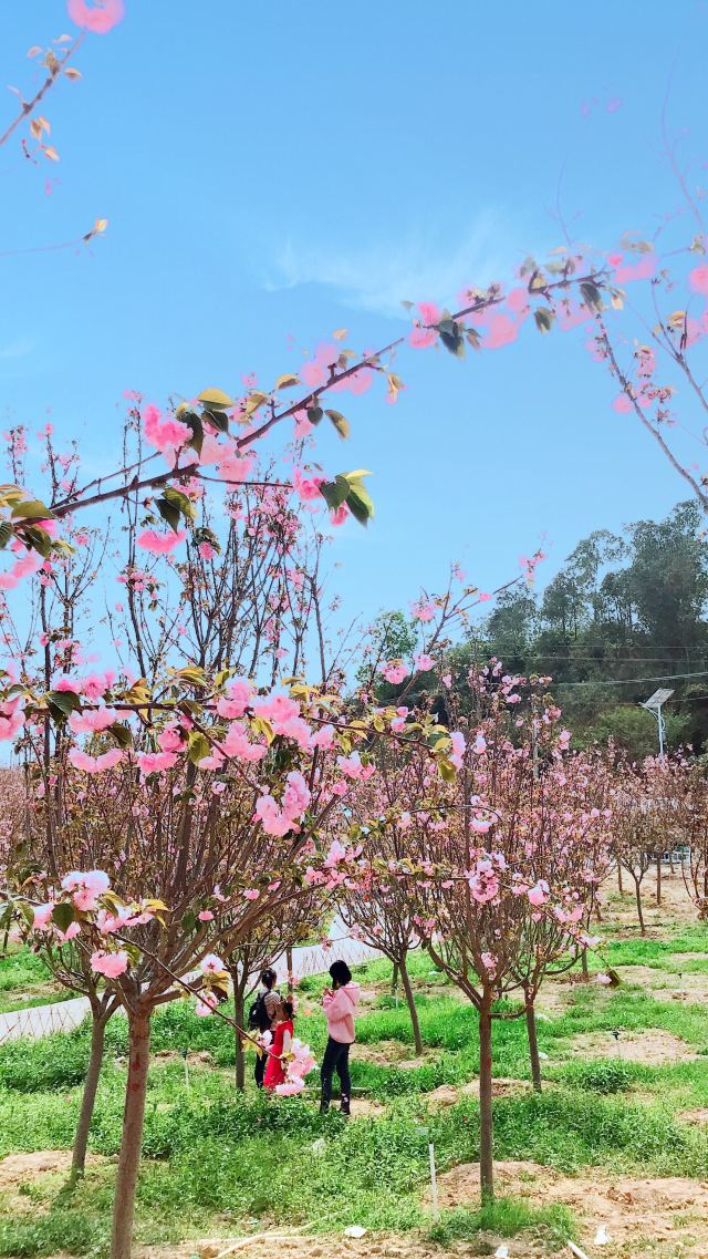 塘山岭生态公园