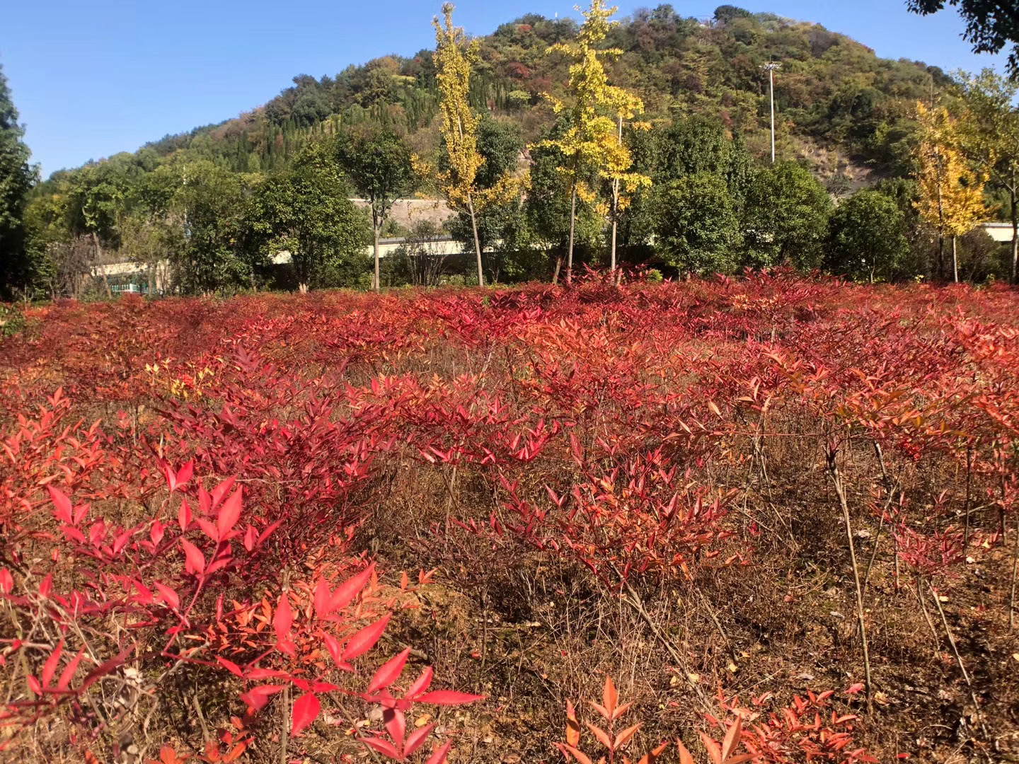 中国新昌国家地质公园