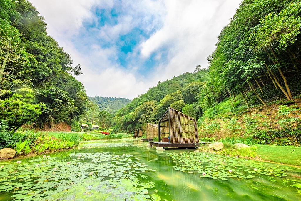 高峰森林公园