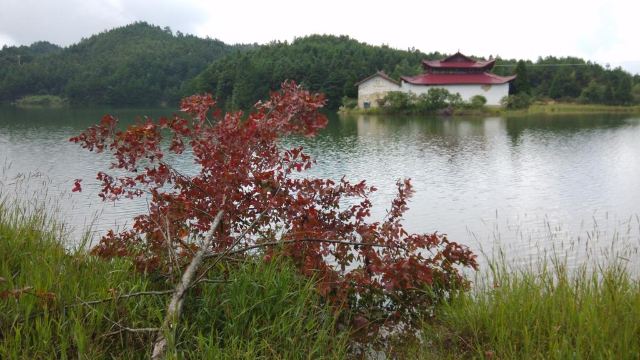 天平山风景区门票,龙泉天平山风景区攻略/地址/图片/门票价格【携程