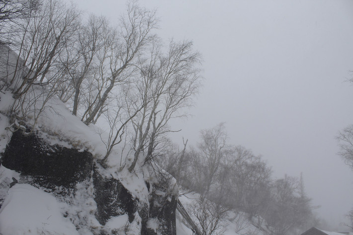寒冬腊月大雪纷飞小说 100v0b0000005ap5094B9_R_710_10000_Q90.jpg