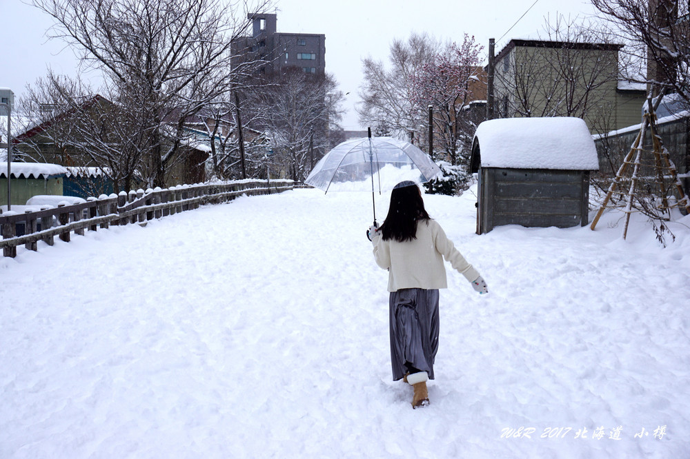 17年冬天 去北海道看雪 泡温泉 札幌 小樽 星野 登别 洞爷湖 小樽游记攻略 携程攻略